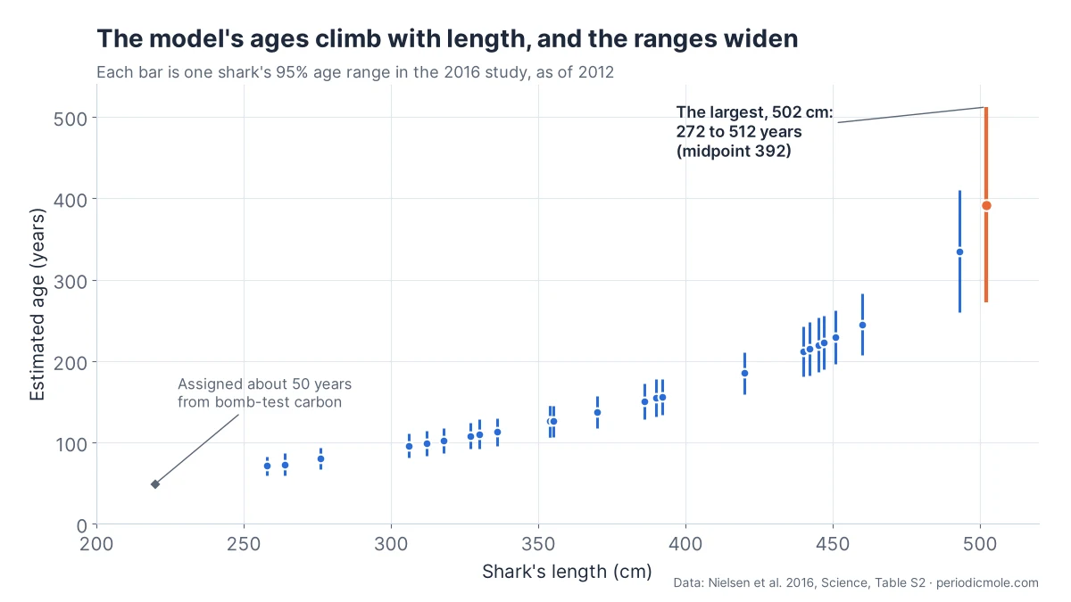 Each shark's 95% age range from the 2016 study plotted against its length: the ranges climb from about 70 years at 258 cm to the largest shark's 272 to 512 years at 502 cm, getting wider as the sharks get longer